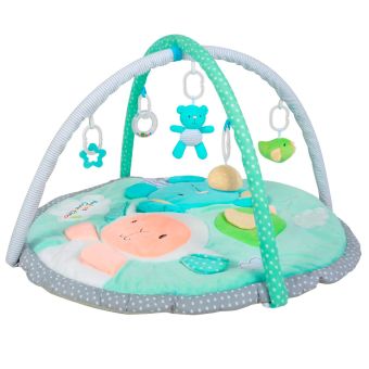 Gimnasio Didáctico Carestino Amigos