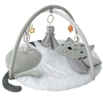 Gimnasio Didáctico Carestino Gatito