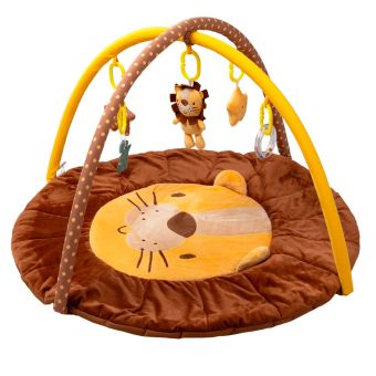 Gimnasio Didáctico Carestino Leon Marrón