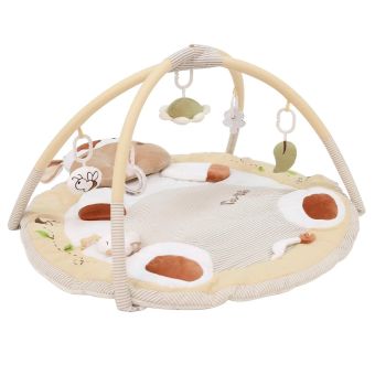 Gimnasio Didáctico Carestino Vaca